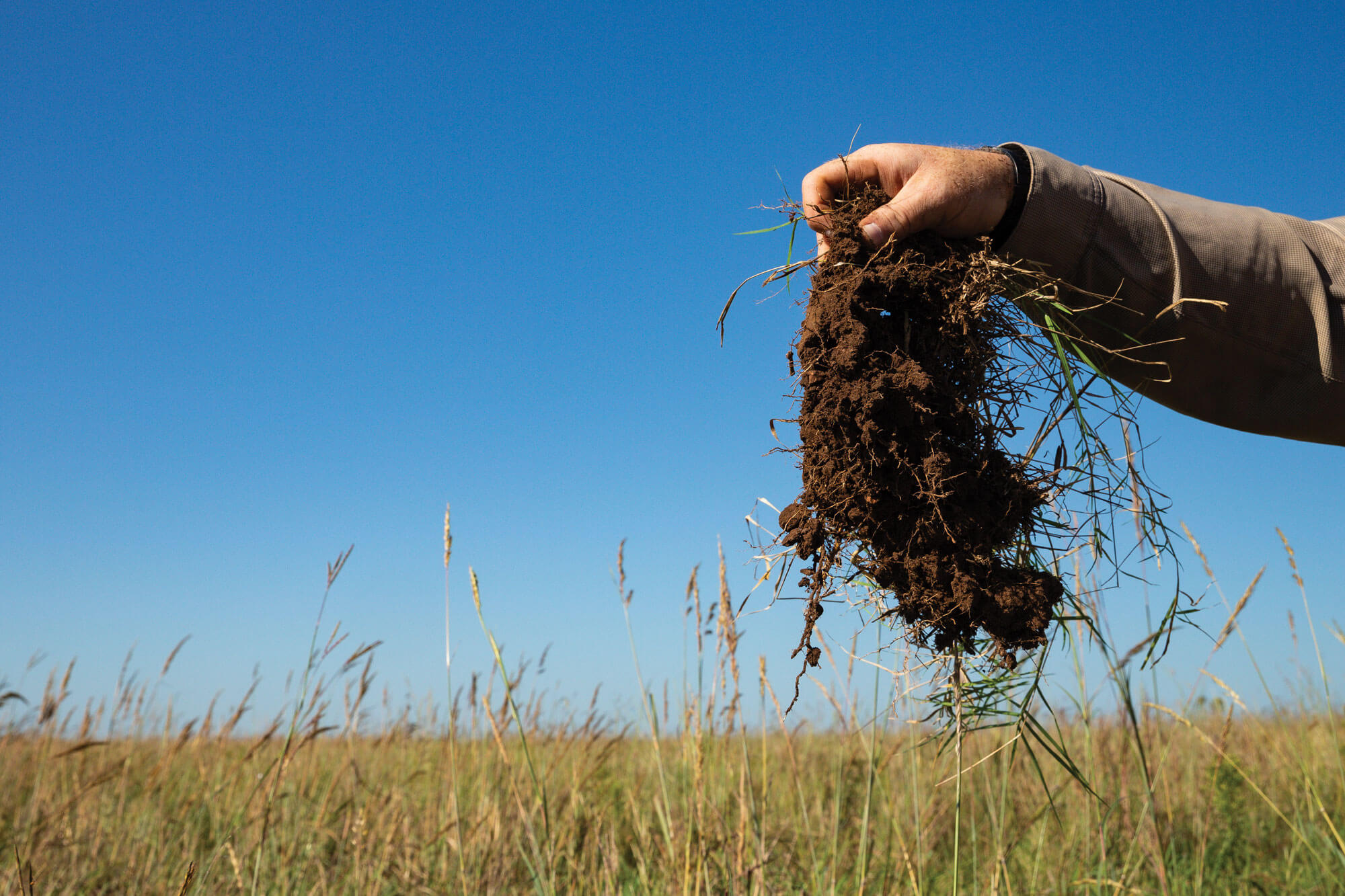 Noble consultant holding up a clump of healthy soil over a pasture.