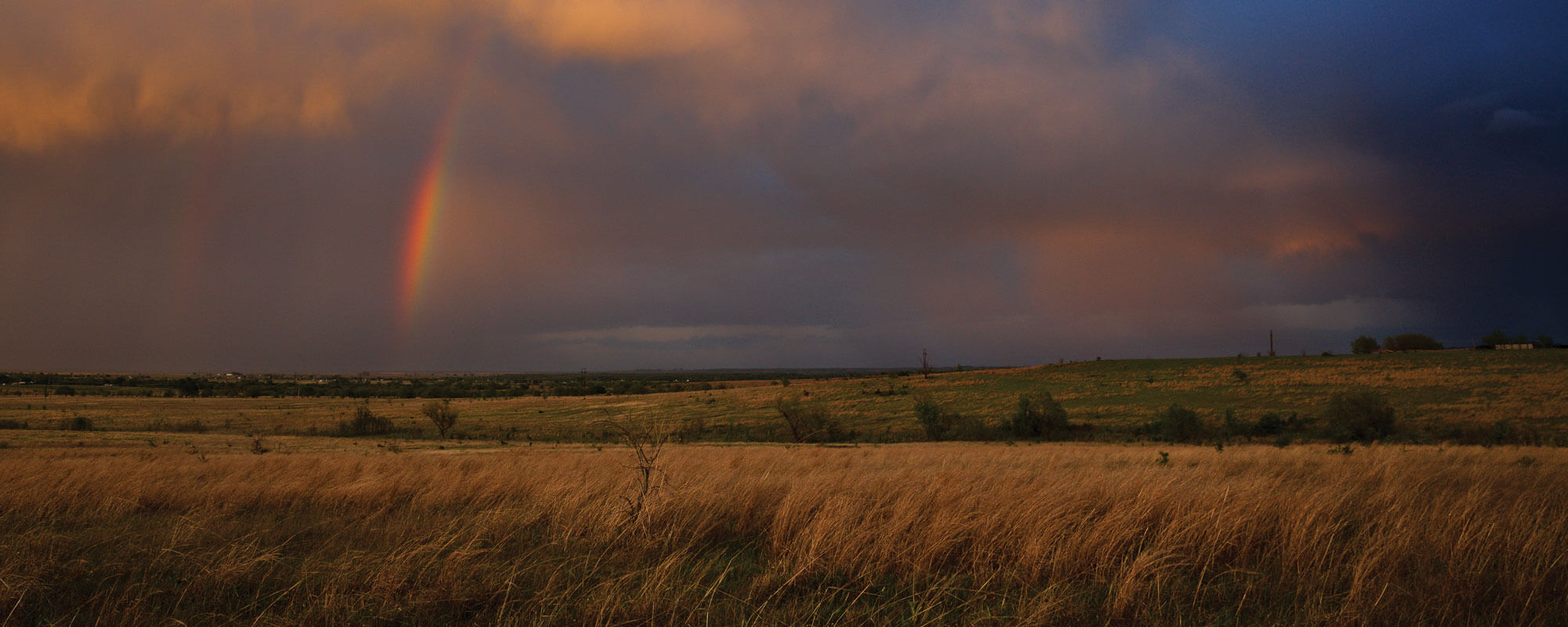 Rainbow over pasture after rainstorm