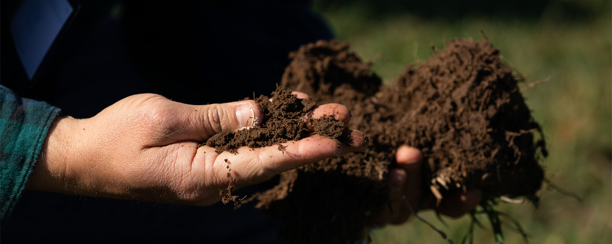 Rancher holding and inspecting soil in their hands
